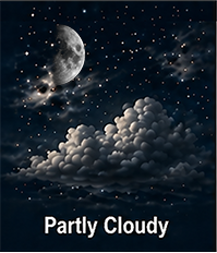Fair observing forecast