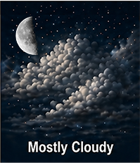 Fair observing forecast