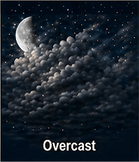 Fair observing forecast