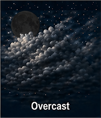 Good observing forecast