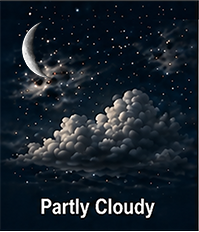 Fair observing forecast