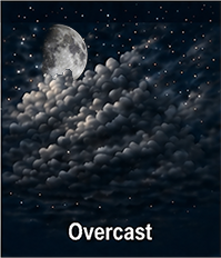Good observing forecast
