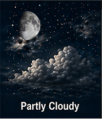 Excellent observing forecast
